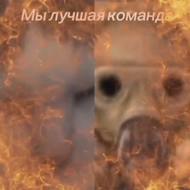 Antimob.kill X Вася Примудрый