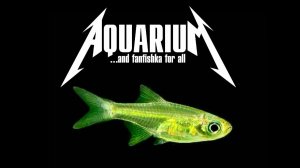 Аквариумный Куботай — зелененький он был!