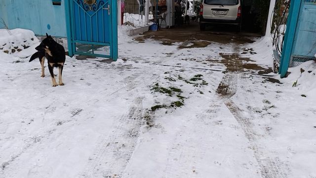 .Малыш тут как тут смотреть онлайн