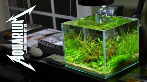 Осмос в аквариуме и все об этом!