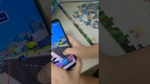 Останавливаю преступников