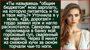 Ты называешь общим бюджетом мою зарплату, на которую питаетесь и ты и твоя мать? | Реальная История