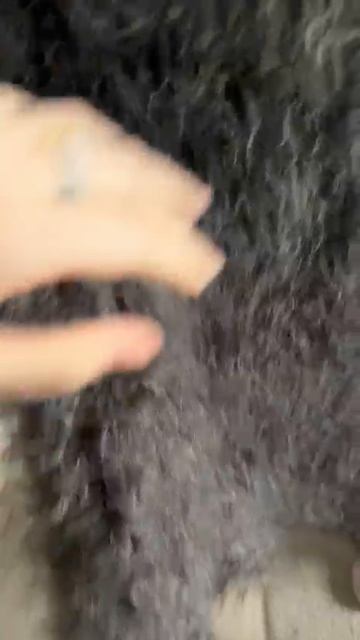 Тёплый, пуховый платок. Видео отзыв моей покупательницы Екатерины смотреть онлайн