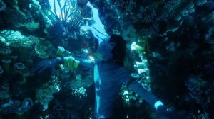 Аватар 2.Тулкун спасает сына Джейка от морского монстра.