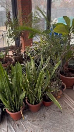 Строю большой дом мечты с нуля в деревне #домвдеревне #строимдом