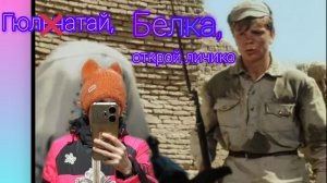 137 игрушек за неделю / Гюльчатай, открой личико 😂/ Хочу парник для рассады😭а денег нет/ вязовлог