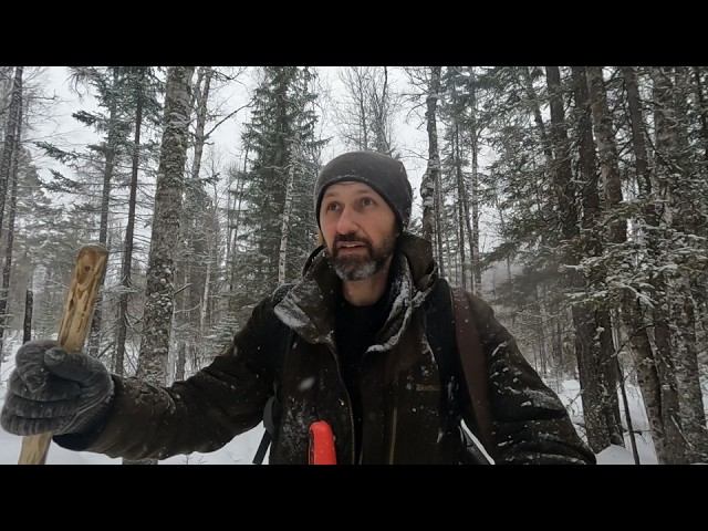 УДАЧНАЯ ПРОВЕРКА С НОЧЁВКОЙ НА "ЯГОДНОЙ" #идилесом 23.01.25 смотреть онлайн