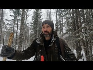 УДАЧНАЯ ПРОВЕРКА С НОЧЁВКОЙ НА "ЯГОДНОЙ" #идилесом 23.01.25