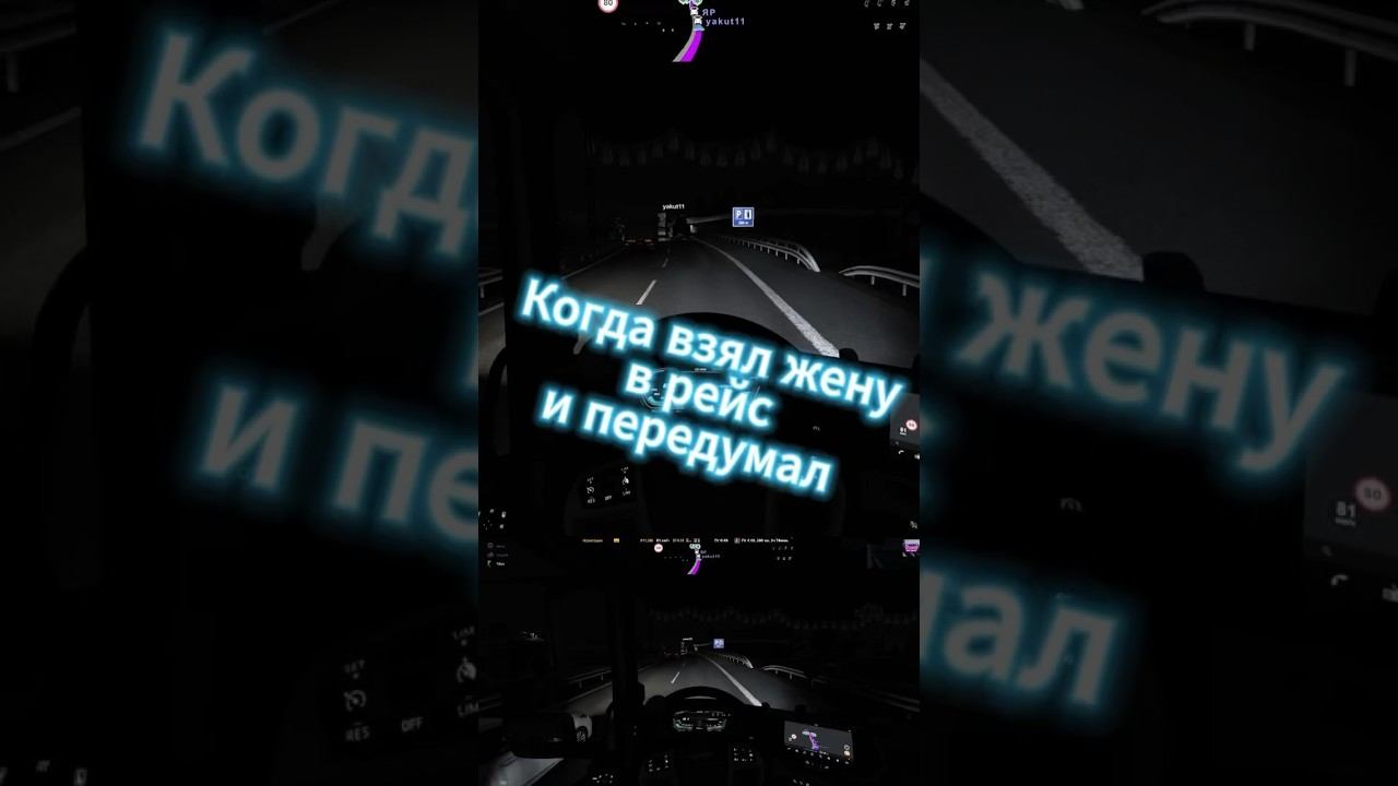 Ets2 Euro Truck Simulator 2 Logitech G29 25 ноября 2023 г. смотреть онлайн