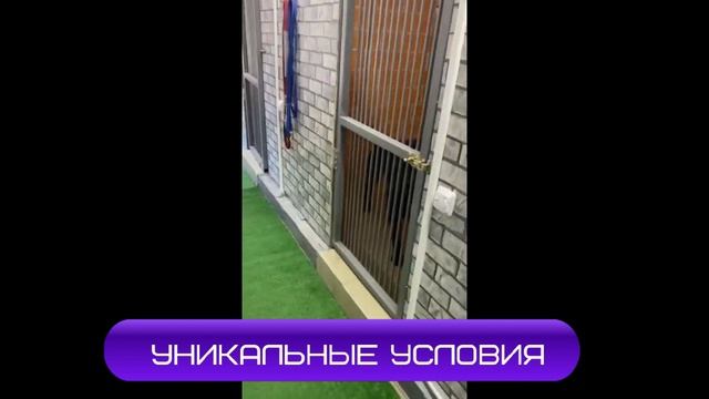 ГОСТИНИЦА ДЛЯ СОБАК  ИГОРЯ АЛТАЙСКОГО.