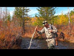 С ОХОТОЙ ПО НОВОЙ ТРОПЕ. ДОБЫЛ РЯБЧИКА. ЩЕНОК ЗАЛАЯЛ НА СОБОЛЯ. #идилесом 09.10.25