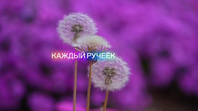 Притча о страннике и саде. смотреть онлайн