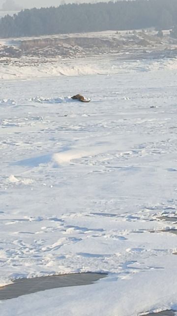 рыбалка на красноярском водохранилище