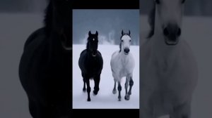 Рәмил Туйсин - Тормош 🎼🌺🎼💐🎼🌹🎼