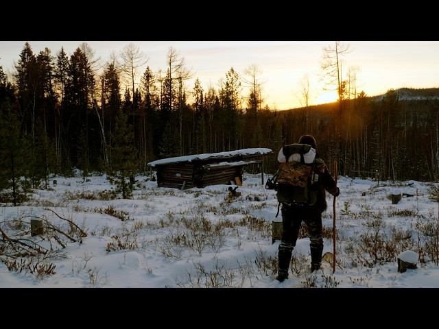 ПОЙМАЛ КРУПНОГО КОТА. ЖИВУ В ЗИМОВЬЕ. ОТВЕТЫ НА ВОПРОСЫ. #идилесом 13.01.26