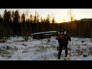 ПОЙМАЛ КРУПНОГО КОТА. ЖИВУ В ЗИМОВЬЕ. ОТВЕТЫ НА ВОПРОСЫ. #идилесом 13.01.26