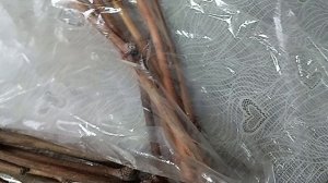 Мои новинки и как я храню черенки для посадки.