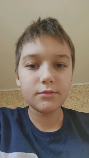 играю в мир домовят