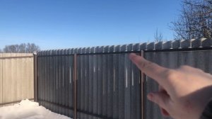 Гости нашего сада 🏡