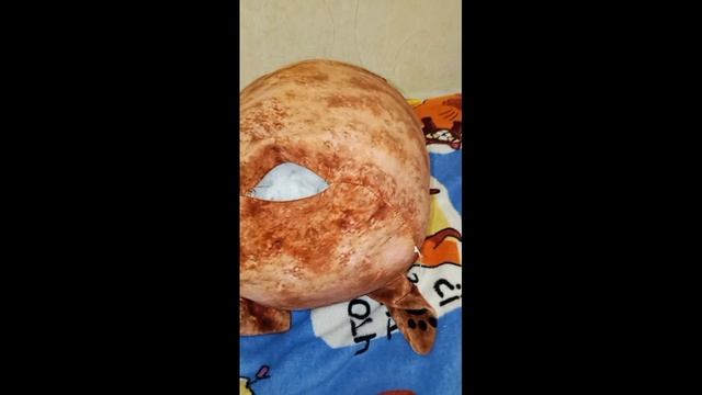 туса в попе шлепы🤘🤘🤘🤘🤘🤘🤘🤘🤘🤘