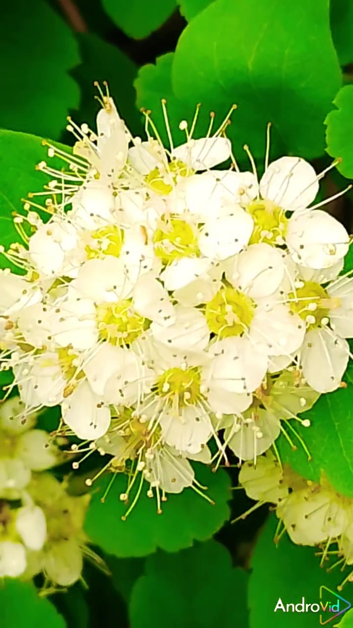 У нас, мороз -37'! Но, греют воспоминания! смотреть онлайн