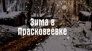Зима в  ̶П̶р̶о̶с̶т̶о̶к̶в̶а̶ш̶и̶н̶о̶  Прасковеевке