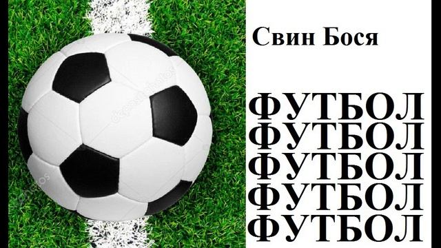 Свин Бося . ФУТБОЛ смотреть онлайн