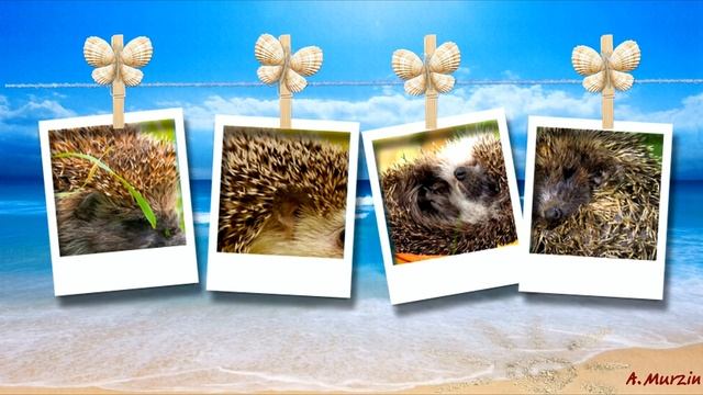 Alexander Karshkov - Tree of Life смотреть онлайн