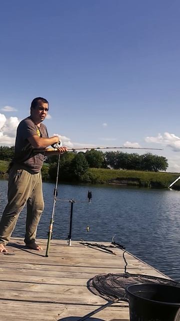 Деревянный спиннинг из СССР против карпа смотреть онлайн