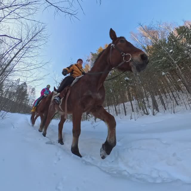 Кони Таватуй январь 26