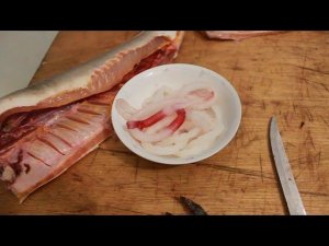 Как достать визигу из стерляди. Забытая русская кухня.