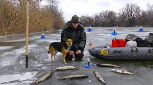 ЕСТЬ ЩУКА! ПЕРВЫЙ ЛЁД 2025-2026.