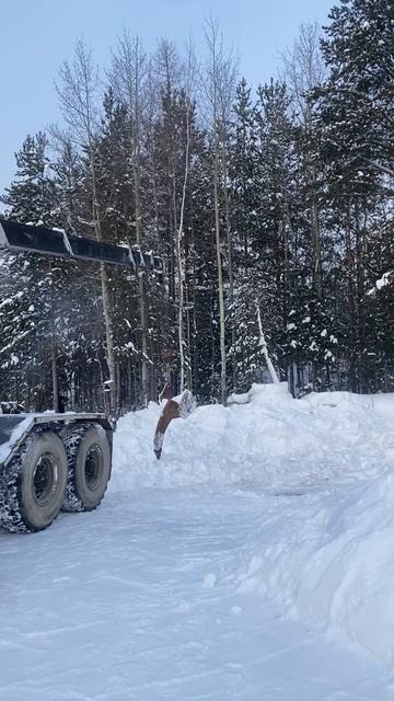 КамАЗ с КМУ