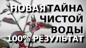 ТАЙНА КРИСТАЛЬНО ЧИСТОЙ ВОДЫ 100% РЕЗУЛЬТАТ