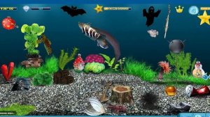 Утреннее кормление рыбок. День #535