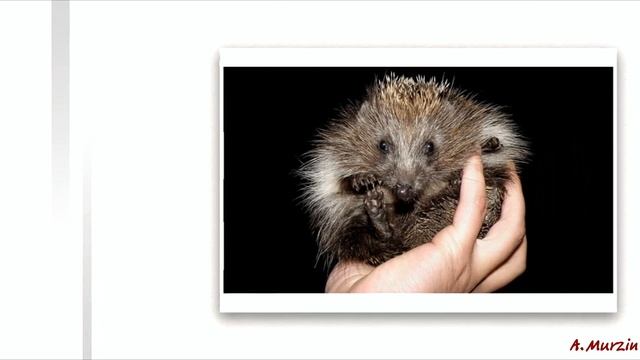 Alexander Karshkov - Re-Remember смотреть онлайн