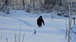 Зимнее великолепие и продуктивный вечер