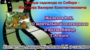 Железов В.К. О ментальной селекции и о волшебнице Т.А.Ноге.
