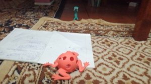 VID_20260117_195608.mp4