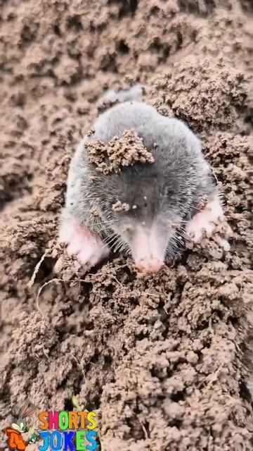 Всем привет 😅