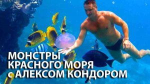 МОНСТРЫ КРАСНОГО МОРЯ с АЛЕКСОМ КОНДОРОМ