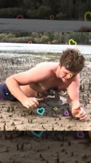 крабик🤣🤣🤣