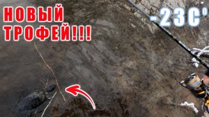 ТАК ЕЩЁ НИКТО НЕ ЛОВИЛ!!! НОВЫЙ РЕКОРД НА МИКРО ДЖИГ!!!