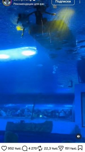 Девочки под водой в огромном аквариуме танцуют с рыбой