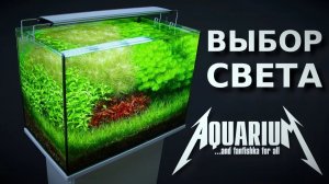 Выбор освещения для аквариума: советы проФФессионалов!
