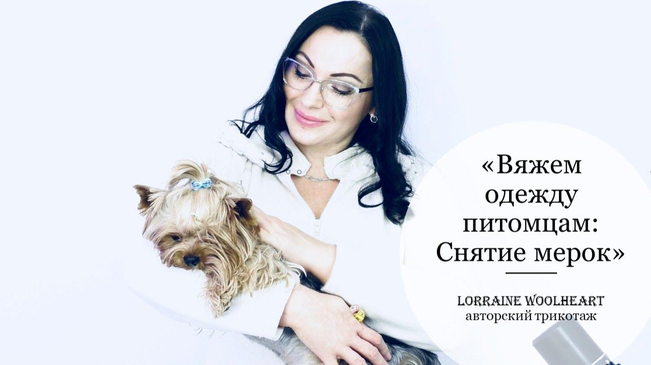 Вяжем одежду питомцам. Снятие мерок смотреть онлайн