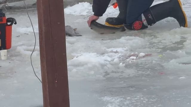 3373.mp4 смотреть онлайн