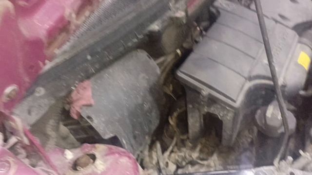 Mercedes-Benz W168 Не едет Работа со сцеплением, адаптация смотреть онлайн