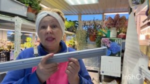 Покупаю каждый сезон. Теперь точно все полки с отличным освещением