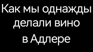 Краснодарский край. Адлер. Домашнее вино. Олимпийский парк.